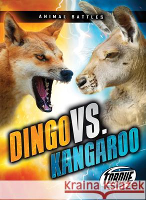 Dingo vs. Kangaroo Kieran Downs 9781648344947 Torque - książka