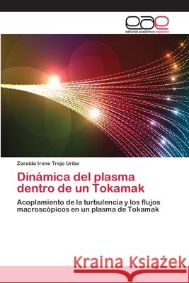 Dinámica del plasma dentro de un Tokamak Trejo Uribe, Zoraida Irene 9783659065118 Editorial Académica Española - książka
