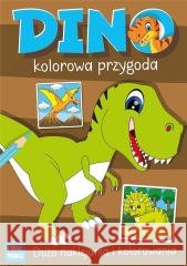 Dino kolorowa przygoda z naklejkami Katarzyna Maćkowiak 9788368195255 Fiku Miku - książka