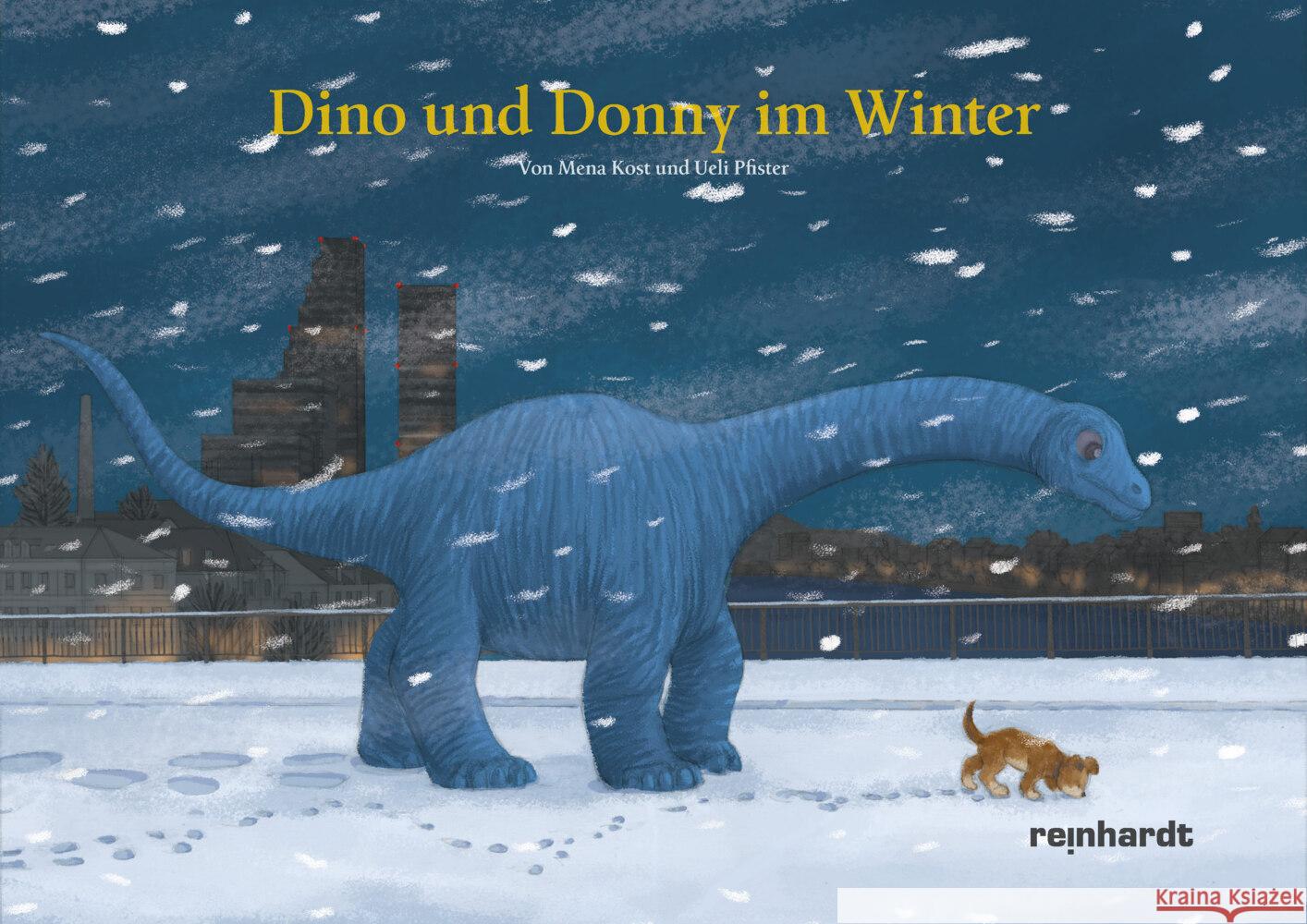 Dino und Donny im Winter Kost, Mena, Pfister, Ueli 9783724525059 Reinhardt, Basel - książka