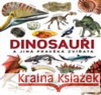 Dinosauři a jiná pravěká zvířata John Woodward 9788027603237 Slovart - książka