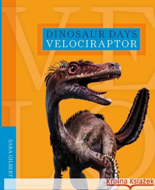 Dinosaur Days: Velociraptor Sara Gilbert 9781628326406 Creative Company,US - książka