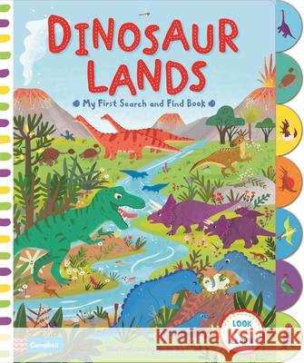 Dinosaur Lands Ng, Neiko 9781509828807 Pan Macmillan - książka