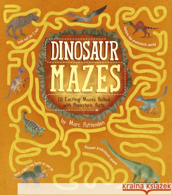 Dinosaur Mazes Matt Yeo 9781398855472 Arcturus Publishing Ltd - książka