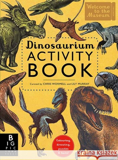 Dinosaurium Activity Book Chris Wormell Lily Murray  9781783706945 Templar Publishing - książka