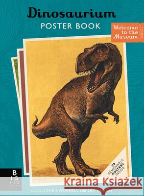 Dinosaurium Poster Book Lily Murray Chris Wormell 9781536241167 Big Picture Press - książka