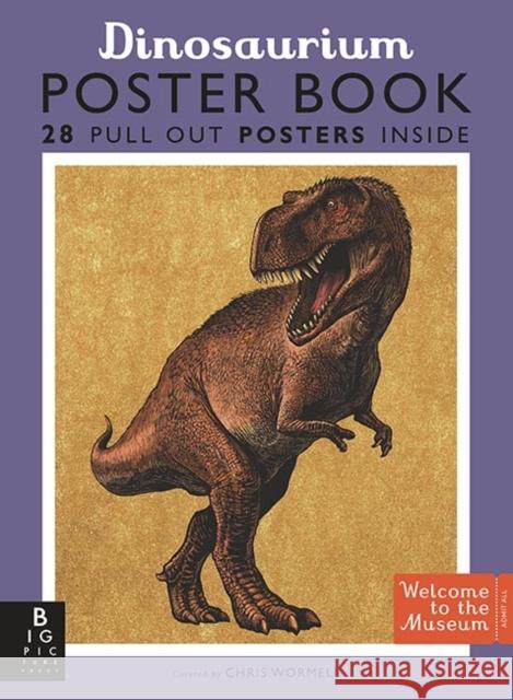 Dinosaurium Poster Book Chris Wormell   9781783708864 Templar Publishing - książka