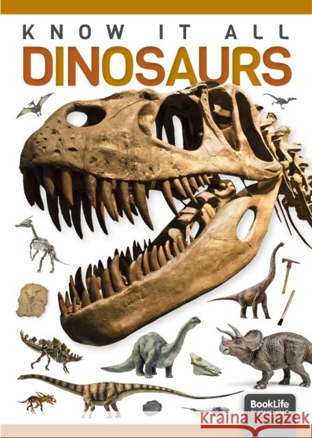 Dinosaurs Louise Nelson 9781801550420 BookLife Publishing - książka