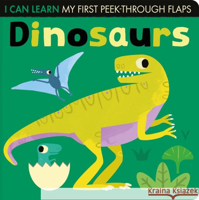 Dinosaurs Lauren Crisp 9781838911898 Little Tiger Press Group - książka