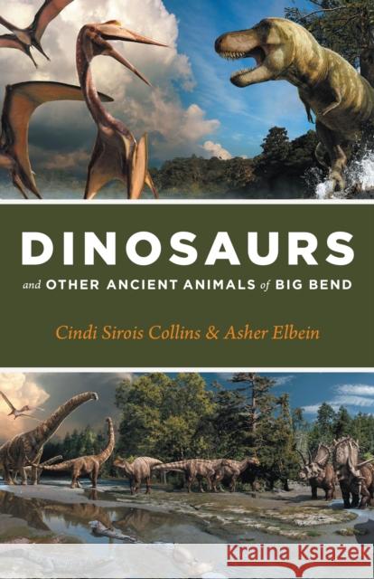 Dinosaurs and Ancient Animals of Big Bend Cindi Sirois Collins Asher Elbein Julius Csotonyi 9781477324639 University of Texas Press - książka