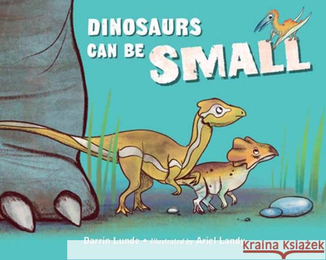 Dinosaurs Can Be Small Darrin Lunde Ariel Landy 9781623543303 Charlesbridge Publishing - książka