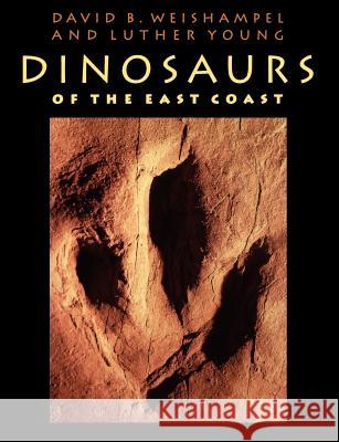 Dinosaurs of the East Coast David B. Weishampel Luther Young Luther Young 9780801852176 Johns Hopkins University Press - książka