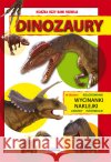 Dinozaury Mroczek Jacek 9788378986010 Literat