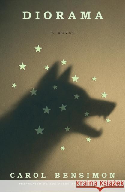 Diorama: A Novel Carol Bensimon 9780374616038 MCD - książka