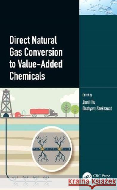 Direct Natural Gas Conversion to Value-Added Chemicals Jianli Hu Dushyant Shekhawat 9780367077938 CRC Press - książka