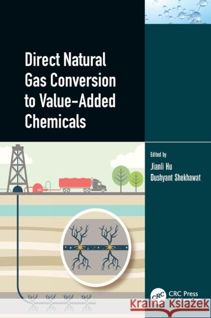 Direct Natural Gas Conversion to Value-Added Chemicals Jianli Hu Dushyant Shekhawat 9780367539498 CRC Press - książka