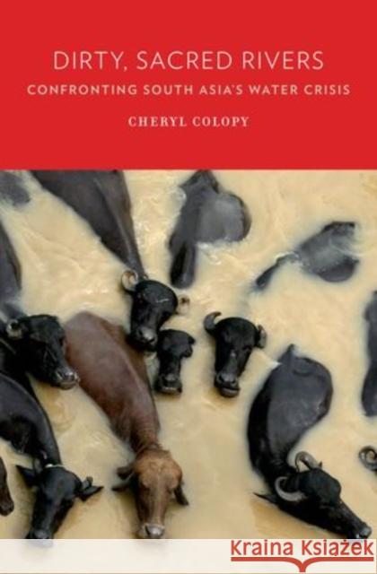 Dirty, Sacred Rivers: Confronting South Asia's Water Crisis Colopy, Cheryl 9780199845019 Oxford University Press, USA - książka