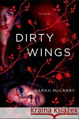 Dirty Wings Sarah McCarry 9781250049384 St. Martin's Griffin - książka