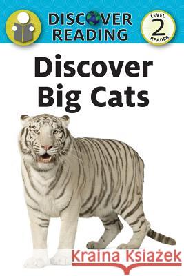 Discover Big Cats Katrina Streza 9781532402340 Xist Publishing - książka