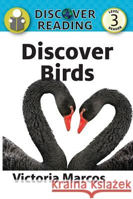Discover Birds Victoria Marcos 9781623956363 Xist Publishing - książka