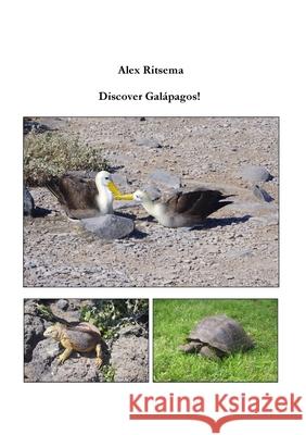 Discover Galápagos! Alex Ritsema 9781678058838 Lulu.com - książka