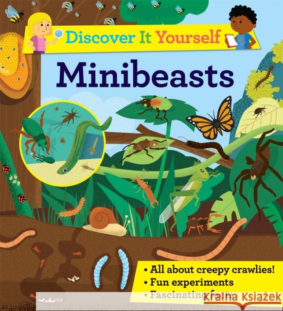 Discover It Yourself: Minibeasts Sally Morgan 9780753446980 Pan Macmillan - książka