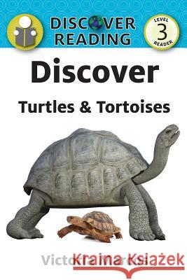 Discover Turtles & Tortoises Victoria Marcos 9781532405396 Xist Publishing - książka