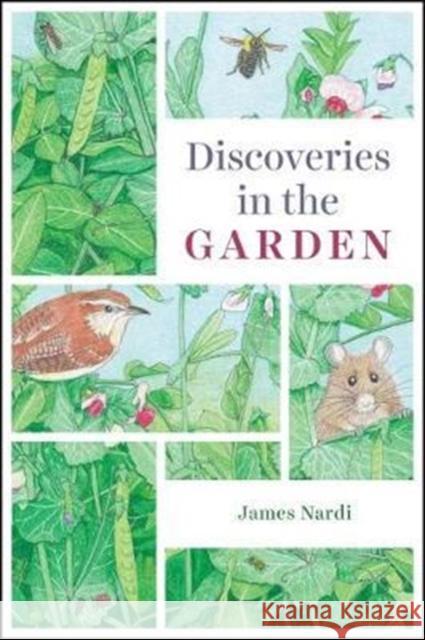 Discoveries in the Garden James B. Nardi 9780226531663 University of Chicago Press - książka