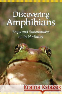 Discovering Amphibians: Frogs and Salamanders of the Northeast Himmelman, John 9780892727032 Down East Books - książka