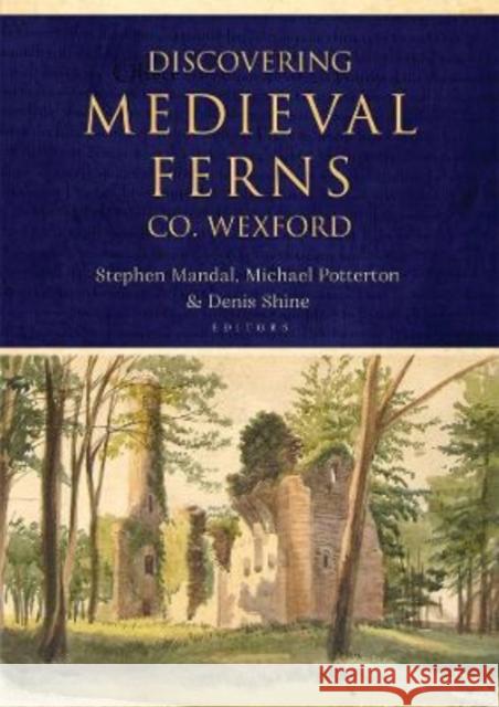 Discovering Medieval Ferns, Co. Wexford Michael Potterton, Stephen Mandal, Denis Shine 9781801510219 Four Courts Press Ltd - książka