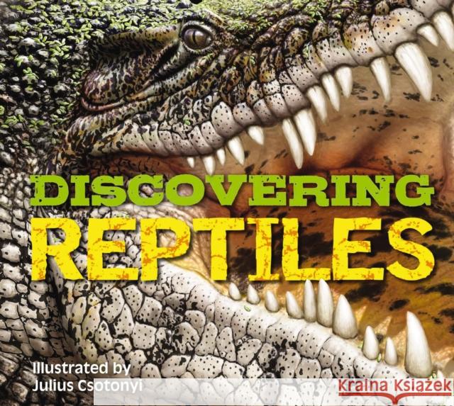 Discovering Reptiles: The Ultimate Handbook to the Reptiles of the World! Csotonyi 9781646430512 Applesauce Press - książka