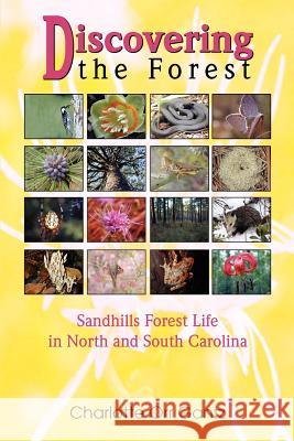 Discovering the Forest: Sandhills Forest Life in North and South Carolina Gantz, Charlotte Orr 9780595351046 iUniverse - książka