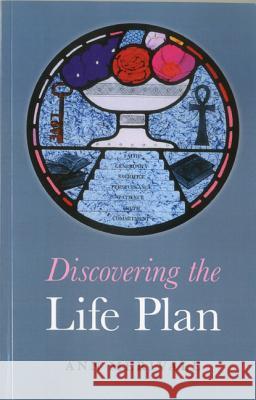 Discovering the Life Plan Ann Merivale 9781846948213 John Hunt Publishing - książka