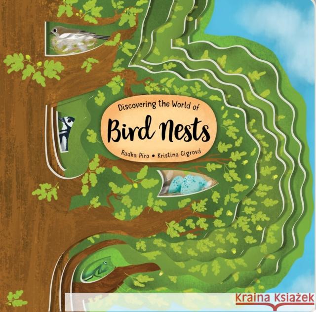 Discovering the World of Bird Nests Piro, Radka 9781641243131 Fox Chapel Publishing - książka