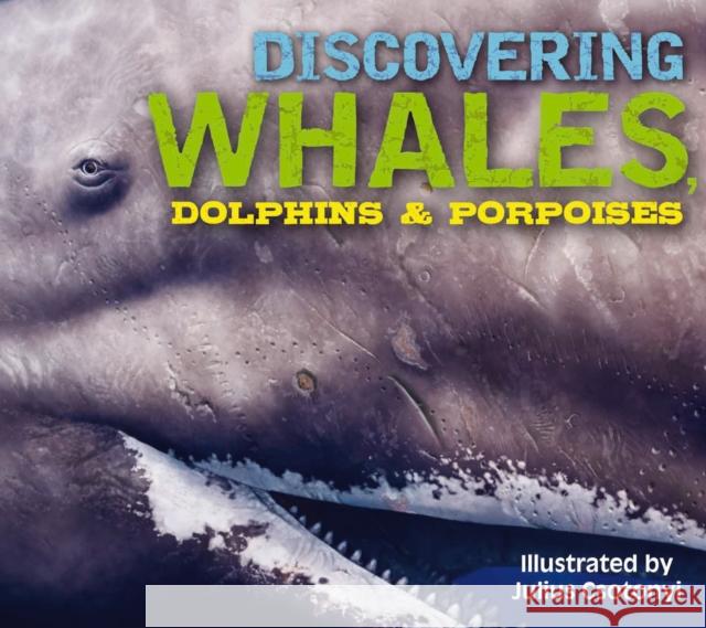 Discovering Whales, Dolphins & Porpoises: The Ultimate Guide to the Ocean's Largest Mammals Gauthier, Kelly 9781604339611 Applesauce Press - książka