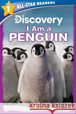 Discovery All Star Readers: I Am a Penguin Level 1 Froeb, Lori C. 9781645172321 Silver Dolphin Books - książka