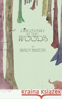 Discovery In The Woods: A St. Patrick's Day Surprise Barton, Sandy 9781490911496 Createspace - książka