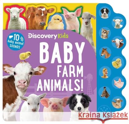 Discovery Kids: Baby Farm Animals! Editors of Silver Dolphin Books 9781667209333 Silver Dolphin Books - książka