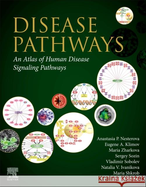 Disease Pathways: An Atlas of Human Disease Signaling Pathways Anastasia P. Nesterova Anton Yuryev Eugene A. Klimov 9780128170861 Elsevier - książka