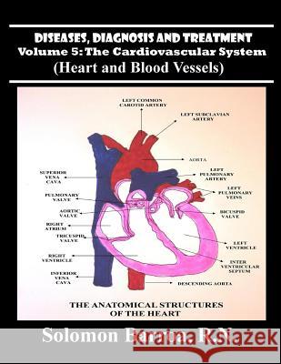 Diseases, Diagnoses and Treatment Solomon Barro 9781489541741 Createspace - książka