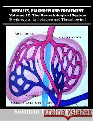 Diseases, Diagnosis and Treatment Solomon Barro 9781489543417 Createspace - książka