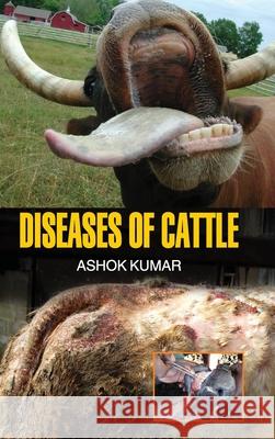 Diseases of Cattle Ashok Kumar 9789350564110 Discovery Publishing House Pvt Ltd - książka