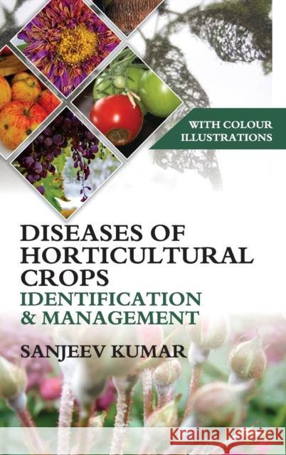 Diseases of Horticultural Crops: Identification and Management Sanjeev Kumar 9789383305643 Nipa - książka