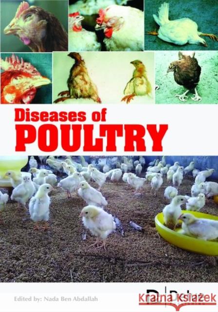 Diseases of Poultry Nada Ben Abdallah   9781773612966 Arcler Education Inc - książka