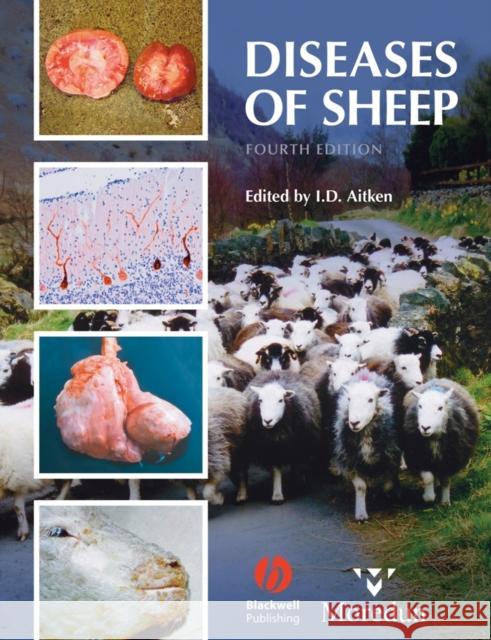 Diseases of Sheep Ian Aitken Ian Aitken Tom Barrett 9781405134149 Blackwell Publishing Professional - książka