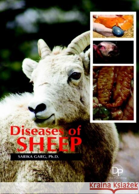 Diseases of Sheep Sarika Garg 9781680958638 Eurospan (JL) - książka