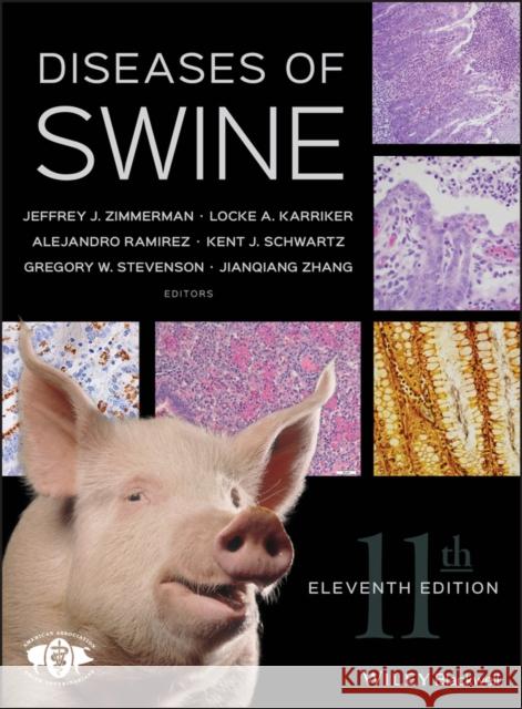 Diseases of Swine Jeffrey J. Zimmerman Locke A. Karriker Alejandro Ramirez 9781119350859 Wiley-Blackwell - książka