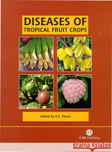 Diseases of Tropical Fruit Crops Randy C. Ploetz R. C. Ploetz 9780851993904 CABI Publishing - książka