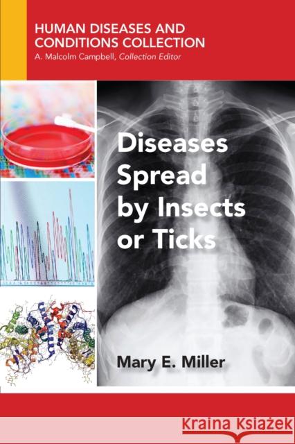 Diseases Spread by Insects or Ticks Mary E. Miller 9781944749910 Momentum Press - książka