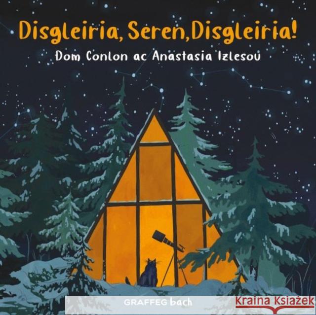 Disgleiria, Seren, Disgleiria! Dom Conlon 9781802581973 Graffeg Limited - książka